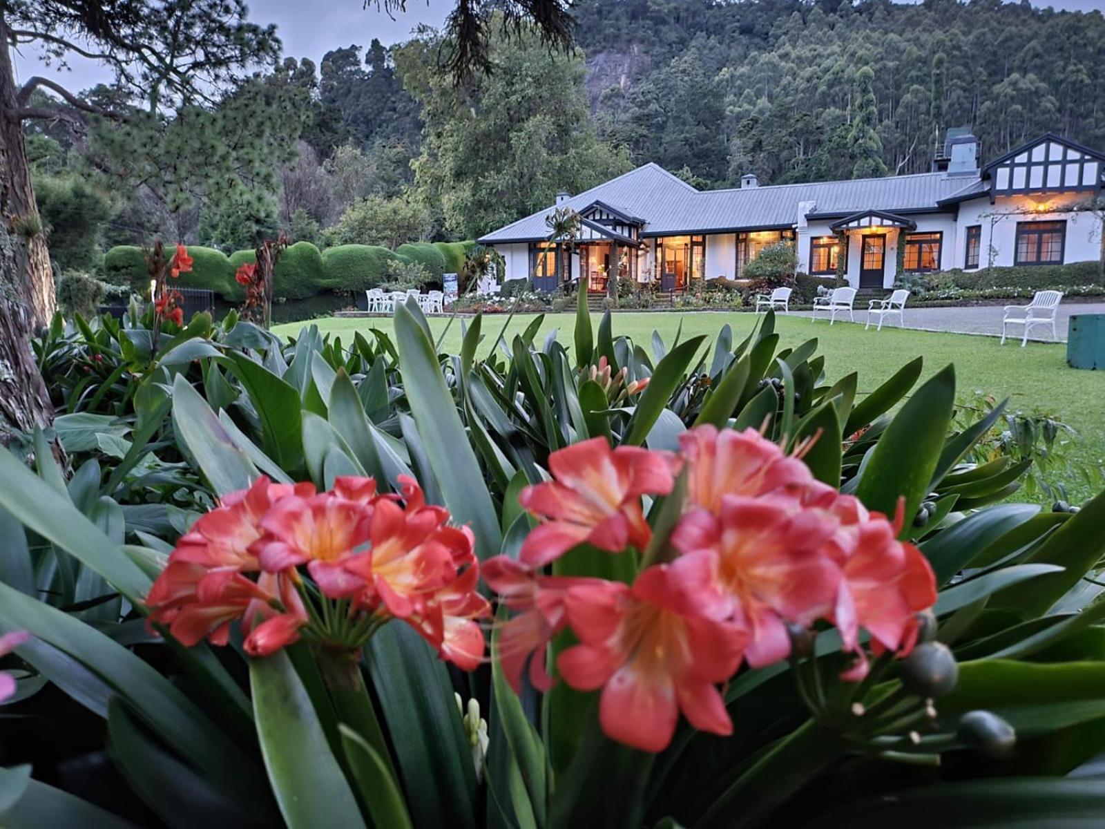 נוארה אליה Hill Cottage מראה חיצוני תמונה