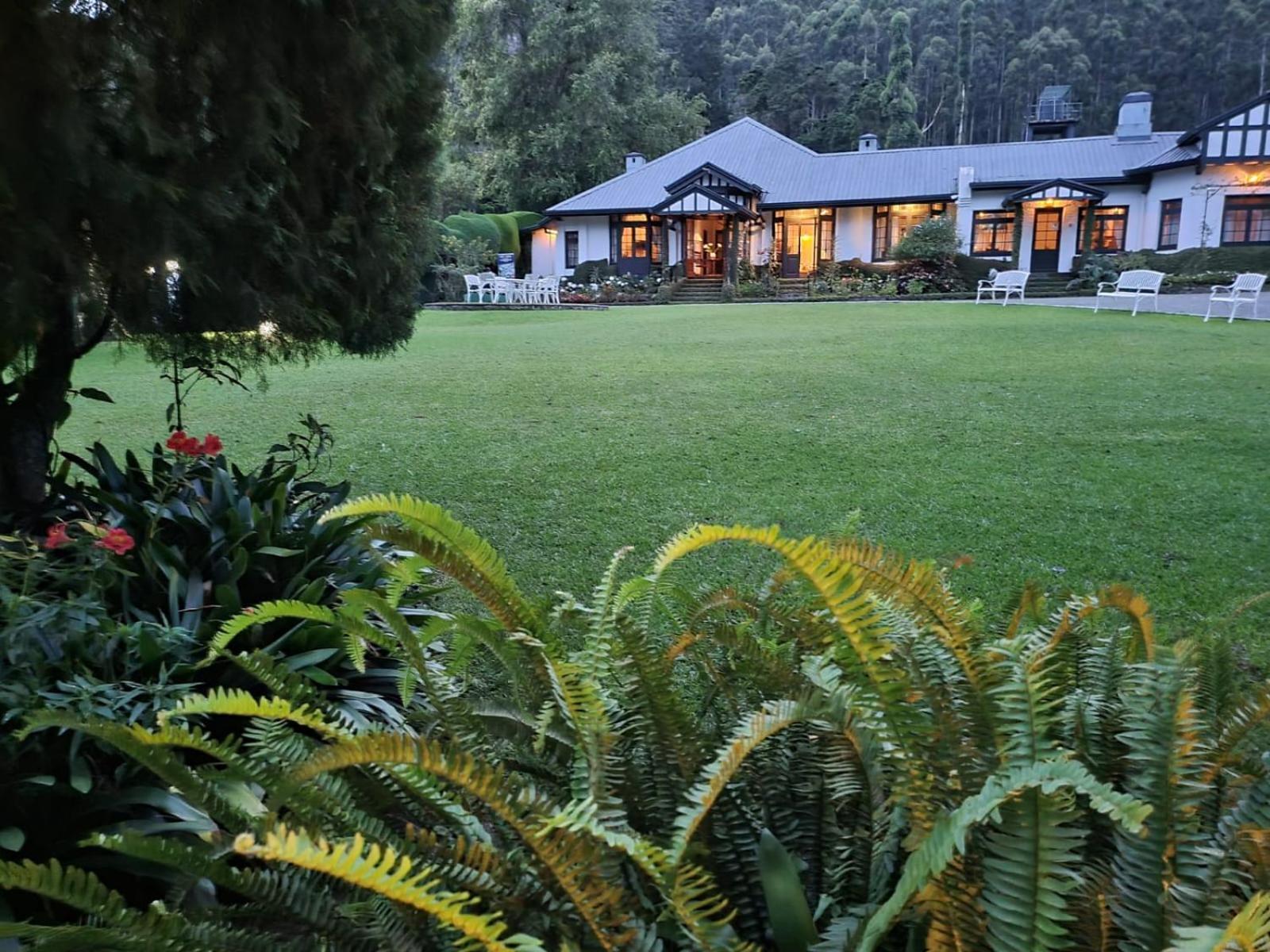 נוארה אליה Hill Cottage מראה חיצוני תמונה